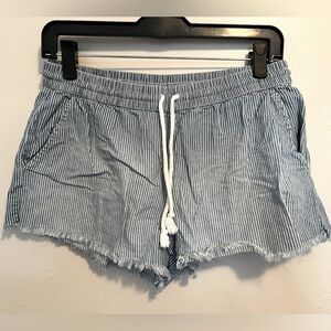 Aerie Pinstriped Blue and White Cotton Shorts